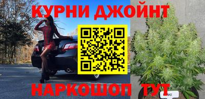 ПСИЛОЦИБИНОВЫЕ ГРИБЫ Можга