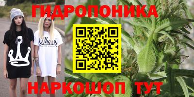 молекула духа Можайск