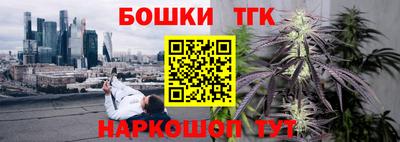 молекула духа Можайск
