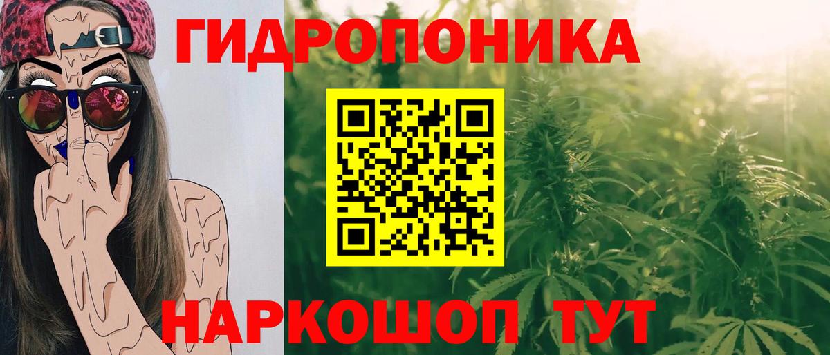 Марихуана конопля  Бошки марихуана AK-47  Марихуана конопля  Фрязино  Бошки Шишки гибрид  Вход с VPN 